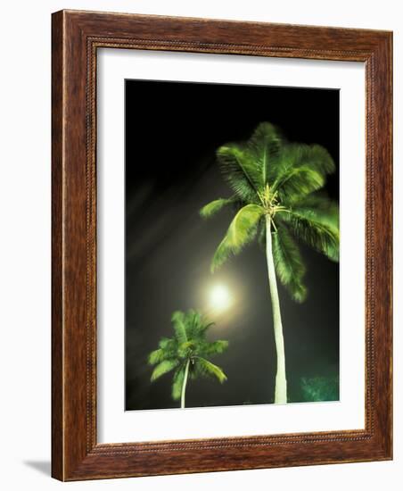 Tropics Palm Trees and Moon-Robin Hill-Framed Photographic Print