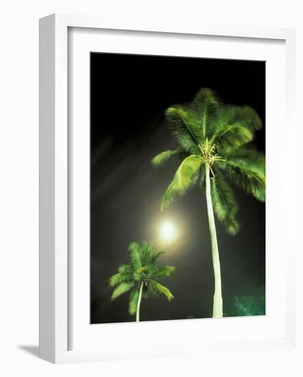 Tropics Palm Trees and Moon-Robin Hill-Framed Photographic Print