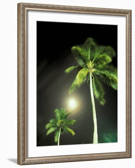 Tropics Palm Trees and Moon-Robin Hill-Framed Photographic Print