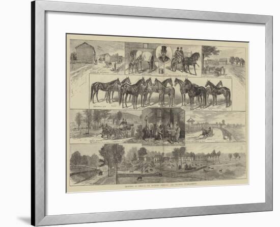 Trotting in America, Mr Bonner's Breeding and Training Establishment-null-Framed Giclee Print