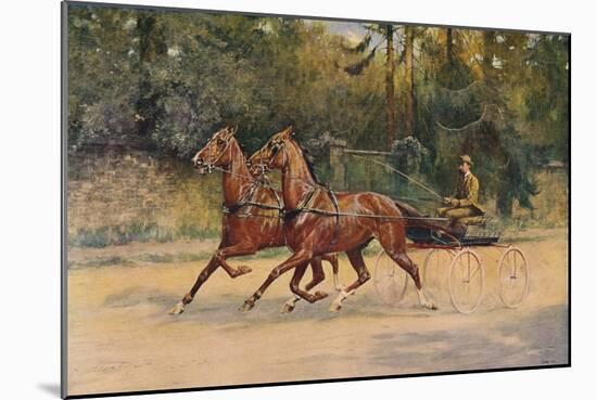 Trotting pair of Walter Winans, 1900 (c1910)-Thomas Blinks-Mounted Giclee Print