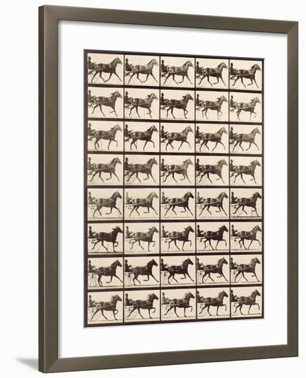 Trotting Sulky-Eadweard Muybridge-Framed Giclee Print