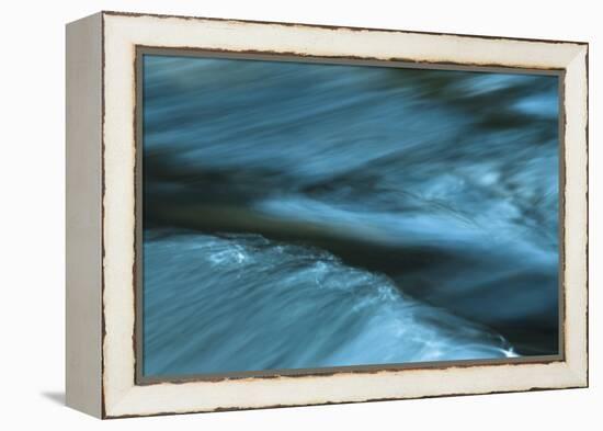 Trouble Brewing 2-Anthony Paladino-Framed Premier Image Canvas