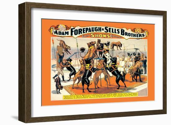 Troupe of Champion Great Danes: Adam Forepaugh and Sells Brothers-null-Framed Art Print