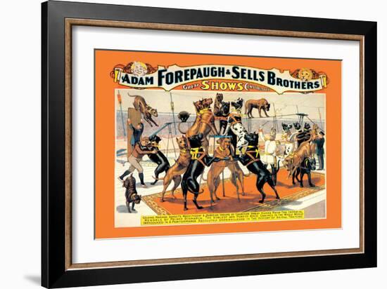 Troupe of Champion Great Danes: Adam Forepaugh and Sells Brothers-null-Framed Art Print