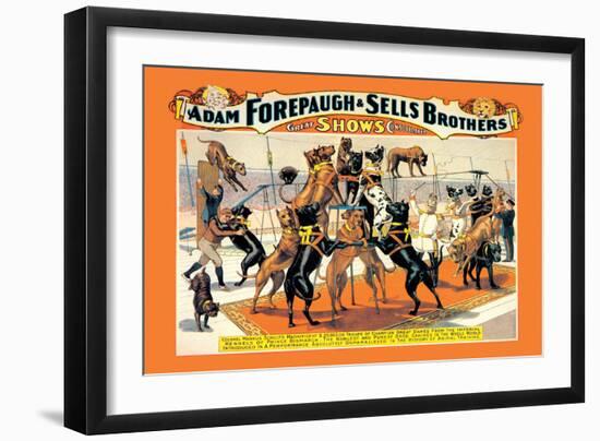 Troupe of Champion Great Danes: Adam Forepaugh and Sells Brothers-null-Framed Art Print