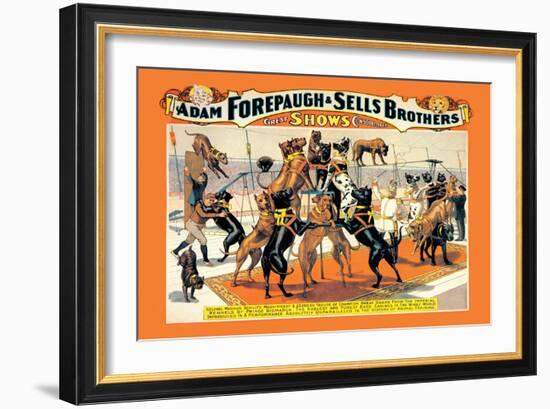 Troupe of Champion Great Danes: Adam Forepaugh and Sells Brothers-null-Framed Art Print