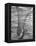 Trout Caught in a Net-Carl Mydans-Framed Premier Image Canvas