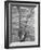 Trout Caught in a Net-Carl Mydans-Framed Photographic Print