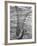 Trout Caught in a Net-Carl Mydans-Framed Photographic Print