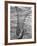 Trout Caught in a Net-Carl Mydans-Framed Photographic Print