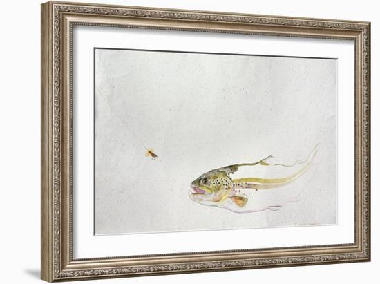 Trout Chasing a Fisherman's Fly (1991)-Lou Gibbs-Framed Giclee Print