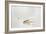 Trout Chasing a Fisherman's Fly (1991)-Lou Gibbs-Framed Giclee Print