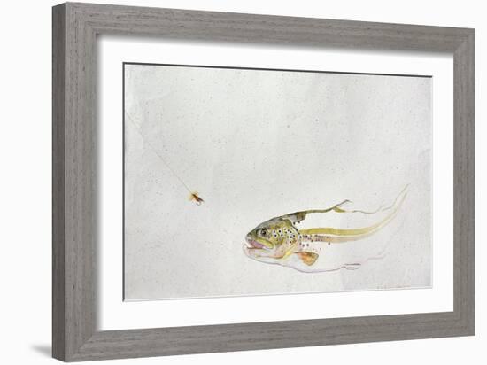 Trout Chasing a Fisherman's Fly (1991)-Lou Gibbs-Framed Giclee Print