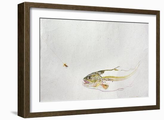 Trout Chasing a Fisherman's Fly (1991)-Lou Gibbs-Framed Giclee Print