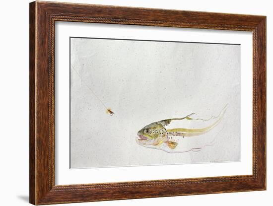 Trout Chasing a Fisherman's Fly (1991)-Lou Gibbs-Framed Giclee Print