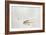 Trout Chasing a Fisherman's Fly (1991)-Lou Gibbs-Framed Giclee Print