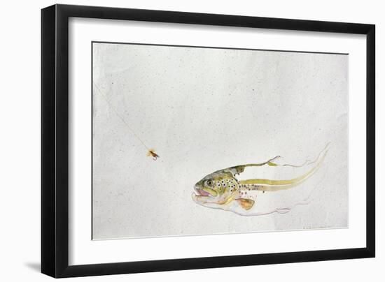 Trout Chasing a Fisherman's Fly (1991)-Lou Gibbs-Framed Giclee Print