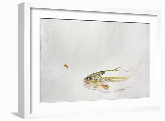 Trout Chasing a Fisherman's Fly (1991)-Lou Gibbs-Framed Giclee Print