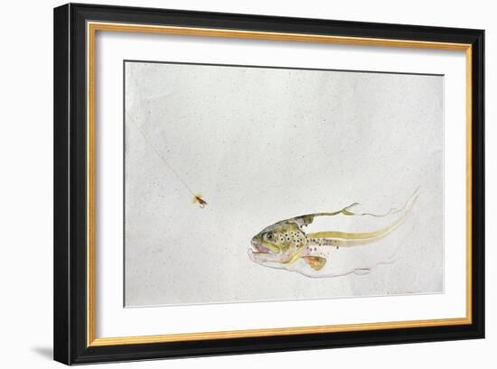 Trout Chasing a Fisherman's Fly (1991)-Lou Gibbs-Framed Giclee Print