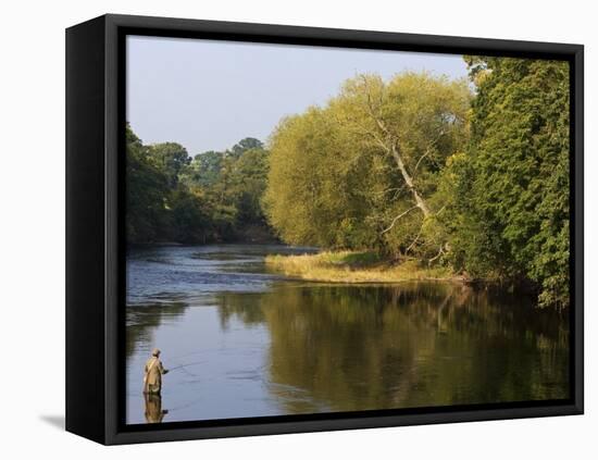 Trout Fisherman Casting to a Fish on the River Dee, Wrexham, Wales-John Warburton-lee-Framed Premier Image Canvas