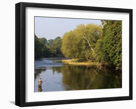 Trout Fisherman Casting to a Fish on the River Dee, Wrexham, Wales-John Warburton-lee-Framed Photographic Print