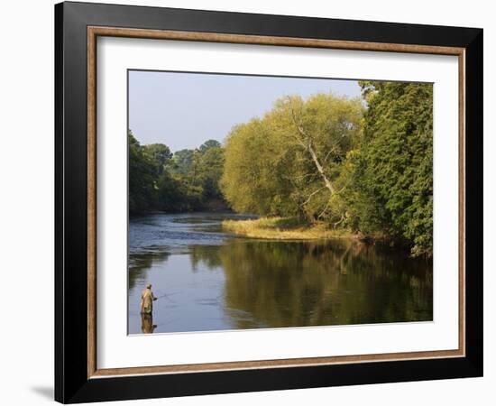 Trout Fisherman Casting to a Fish on the River Dee, Wrexham, Wales-John Warburton-lee-Framed Photographic Print