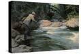 Stretched Canvas Print