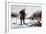 Trout Fishing on Chateaugay Lake, American Winter Sports, 1856-Arthur Fitzwilliam Tait-Framed Giclee Print