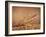 Trout Flying Out of Bed of Almonds in Preparation For Trout Amandine-John Dominis-Framed Photographic Print