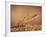 Trout Flying Out of Bed of Almonds in Preparation For Trout Amandine-John Dominis-Framed Photographic Print