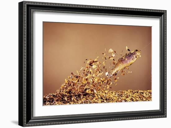 Trout Flying Out of Bed of Almonds in Preparation For Trout Amandine-John Dominis-Framed Giclee Print