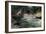 Trout on the Hook of a Fisherman in the north Woods, Circa 1900-null-Framed Giclee Print