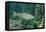 Trout (Salmo Trutta), Germany-Reinhard Dirscherl-Framed Premier Image Canvas