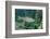 Trout (Salmo Trutta), Germany-Reinhard Dirscherl-Framed Photographic Print