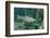 Trout (Salmo Trutta), Germany-Reinhard Dirscherl-Framed Photographic Print