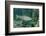 Trout (Salmo Trutta), Germany-Reinhard Dirscherl-Framed Photographic Print