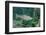 Trout (Salmo Trutta), Germany-Reinhard Dirscherl-Framed Photographic Print