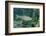 Trout (Salmo Trutta), Germany-Reinhard Dirscherl-Framed Photographic Print