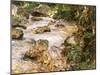 Trout Stream in the Tyrol, 1914-John Singer Sargent-Mounted Giclee Print