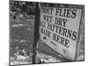 Trout: Wet - Dry All Patterns Made Here Between North Creek and North River, Hudson River Valley-Margaret Bourke-White-Mounted Photographic Print