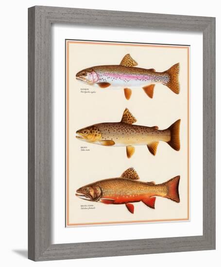 Trout-Joseph Tomelleri-Framed Art Print