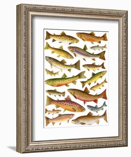 Trout-English School-Framed Giclee Print