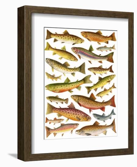 Trout-English School-Framed Giclee Print