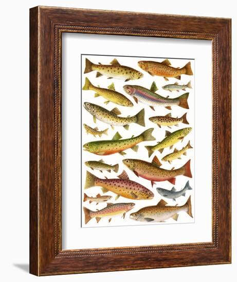 Trout-English School-Framed Giclee Print