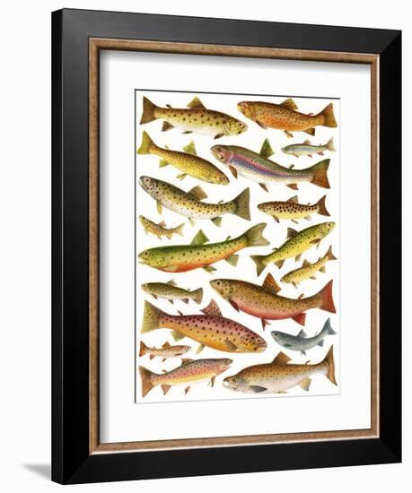 Trout-English School-Framed Giclee Print