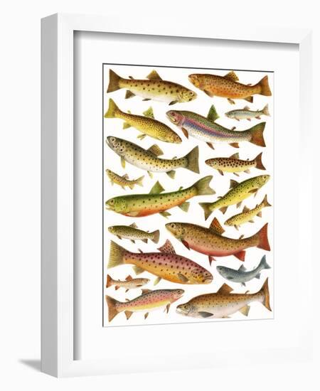 Trout-English School-Framed Giclee Print