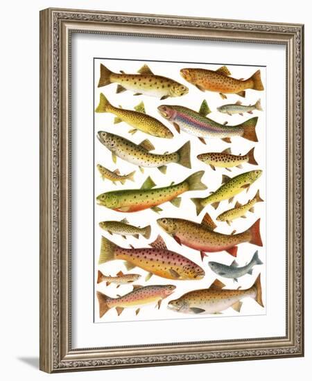 Trout-English School-Framed Giclee Print