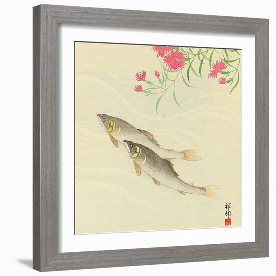 Trouts and Wild Pink-Koson Ohara-Framed Giclee Print
