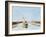 Trouville, 1894 (Oil on Panel)-Eugene Louis Boudin-Framed Giclee Print